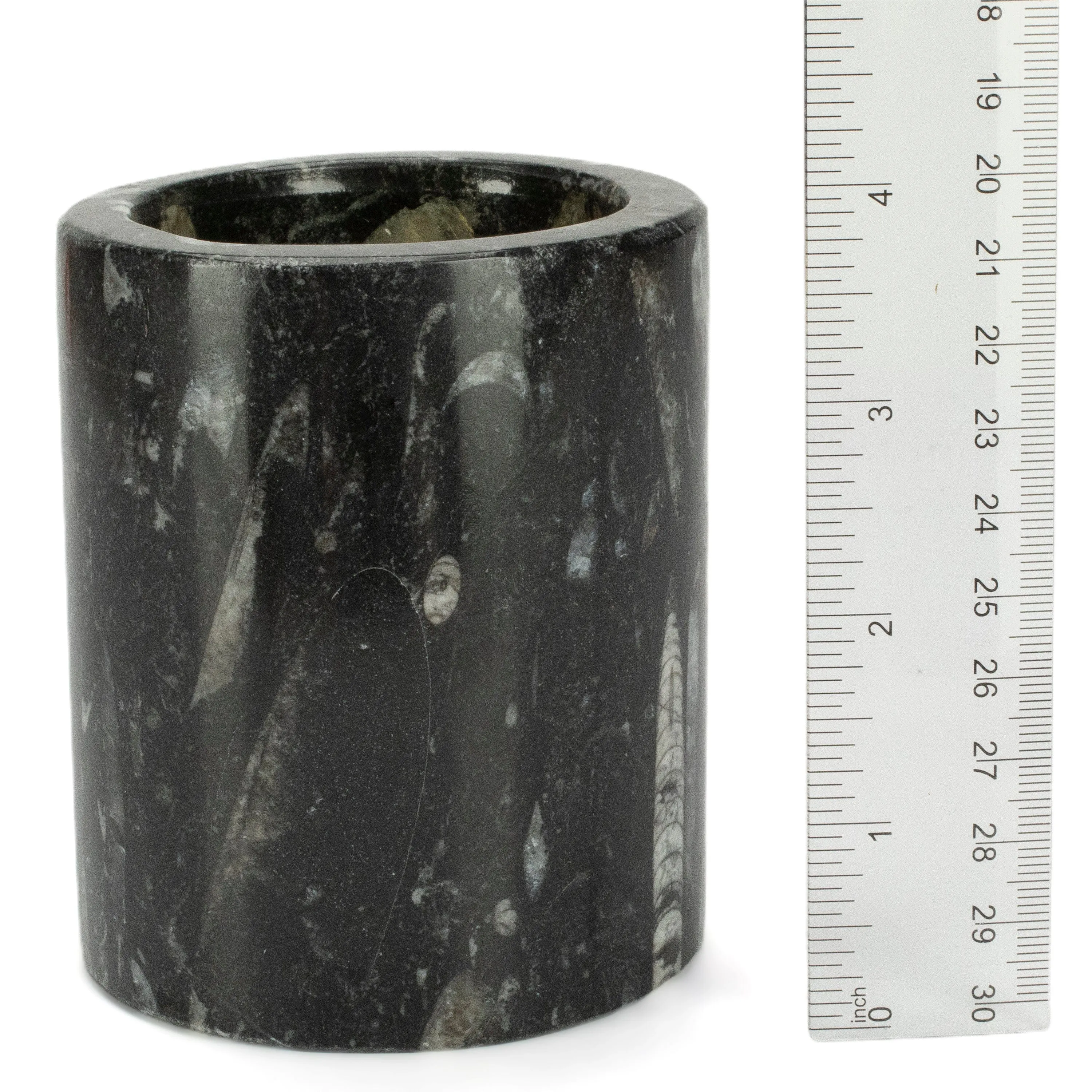 Black Orthoceras Cup from Morocco - 4