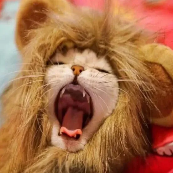 Lion Mane | Cat Costume